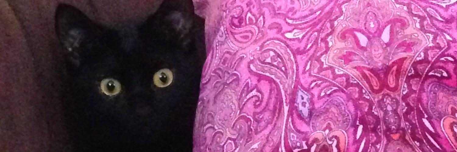 BanuFotocan's profile banner image
