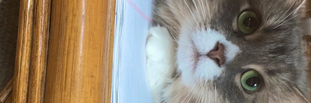 maileyhueller's profile banner image