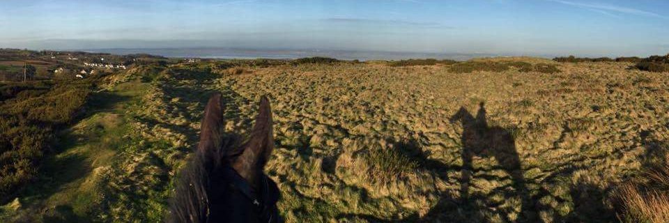 Kellie Goodall banner