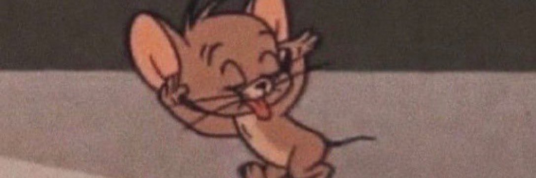 aneekaahh's profile banner image