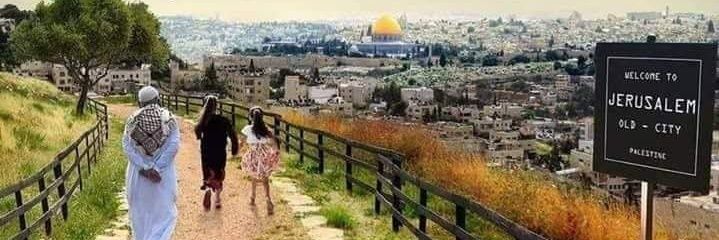 AlaaAlhafez's profile banner image