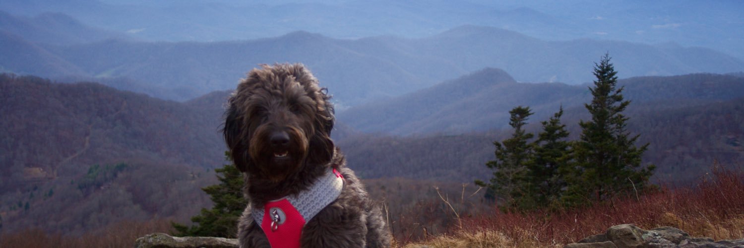 EMMConkin's profile banner image