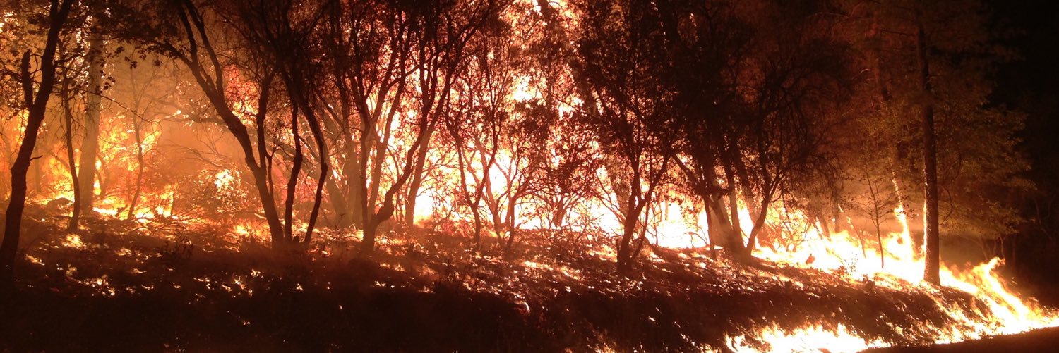 FergysAdventures banner