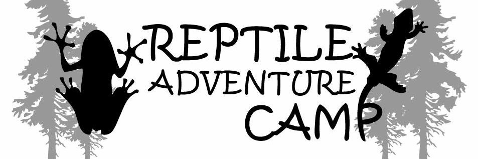 ReptileCamp's profile banner image