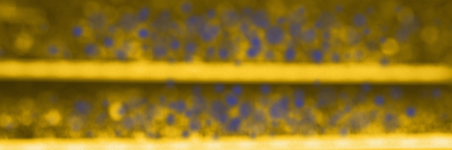 fahad_682's profile banner image
