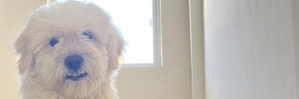 kingthelan's profile banner image