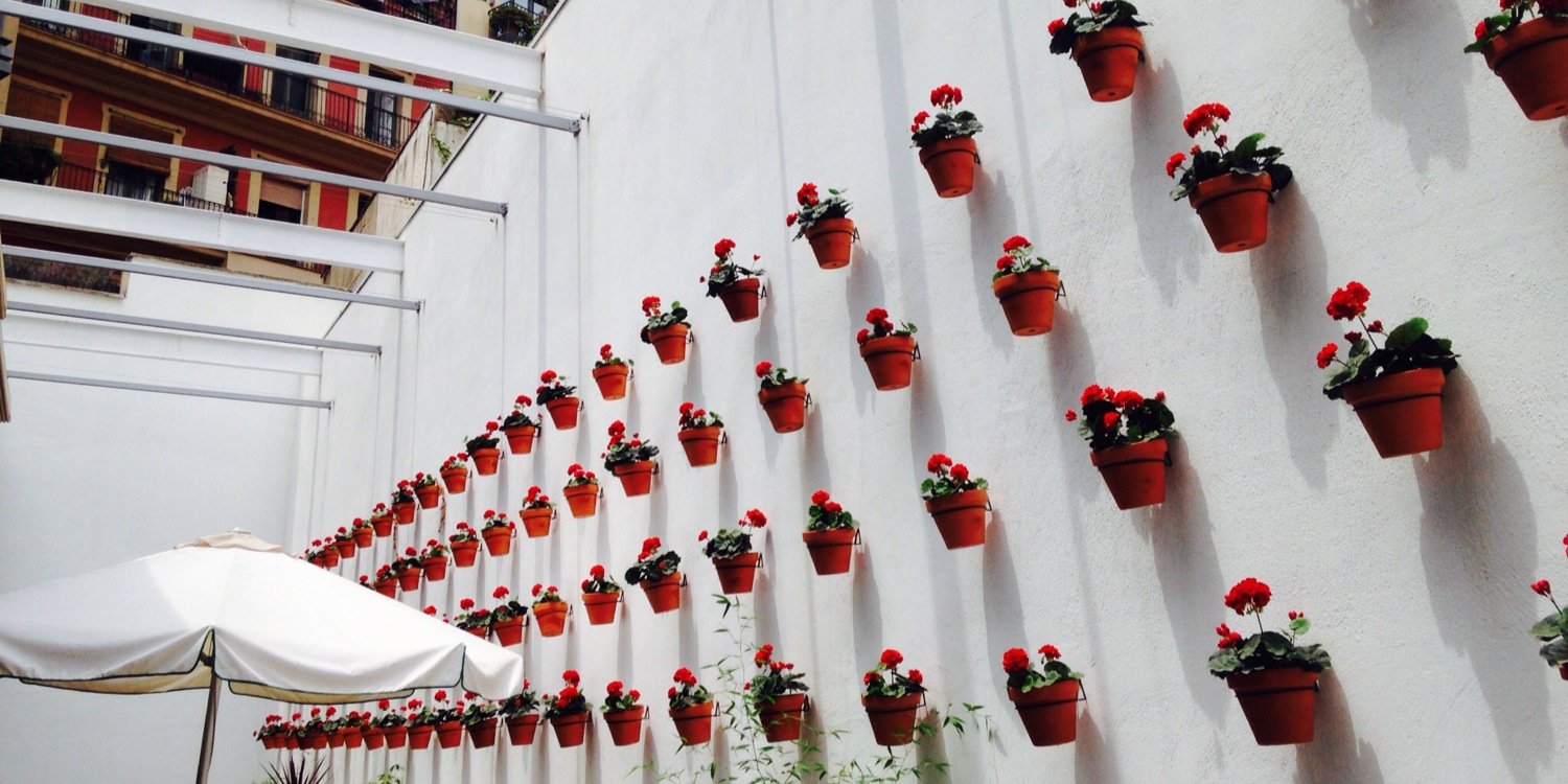 Monica (Forde) Keane banner