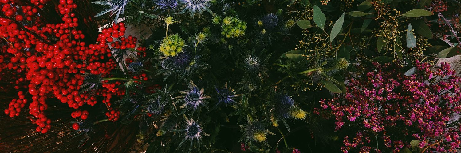 Marianna Deinyan banner