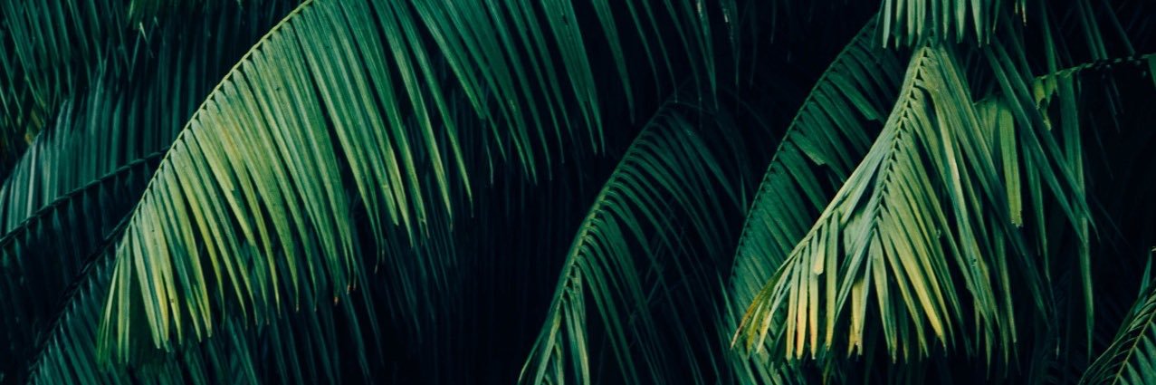 RetroSpectYaya's profile banner image