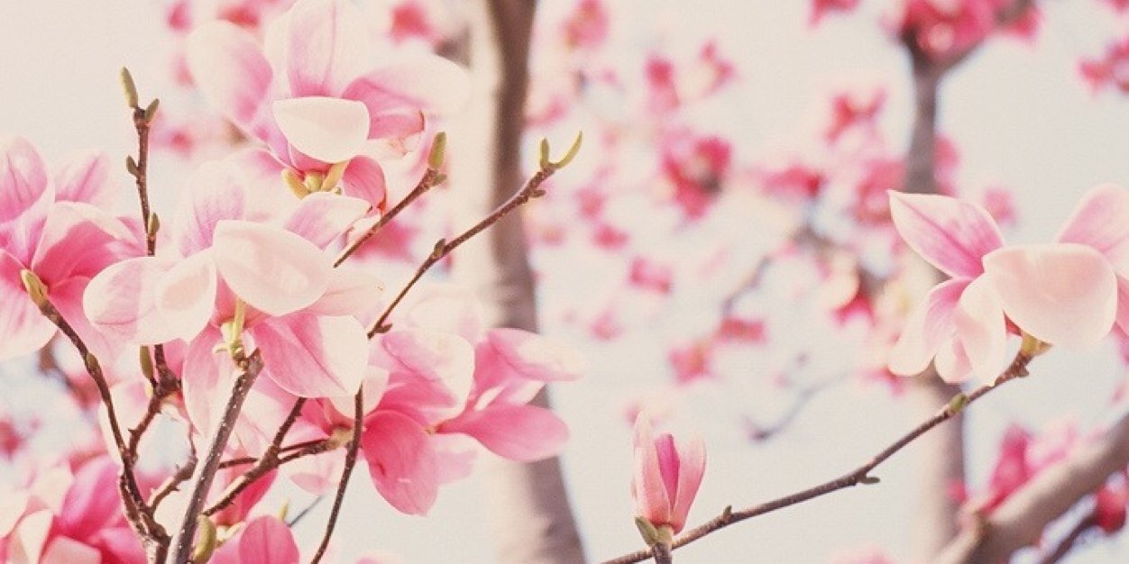 Al_Z9's profile banner image