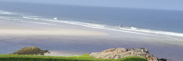 jon_maclean Profile Banner