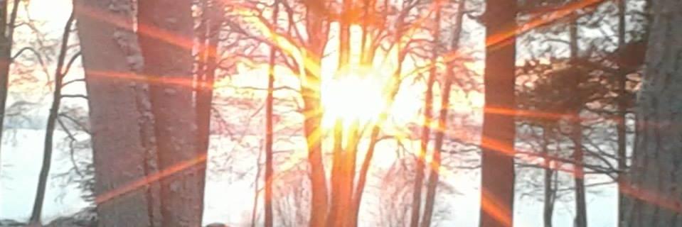 AnnaAari's profile banner image