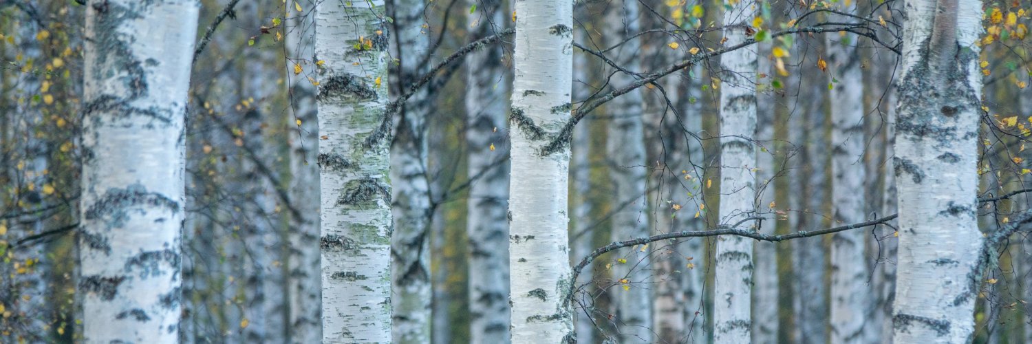 Kathryn Atchley banner