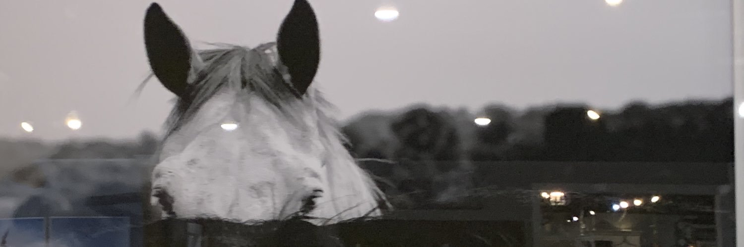 Liv_a05's profile banner image