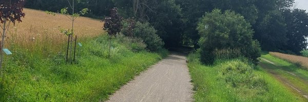 scanlanmt Profile Banner