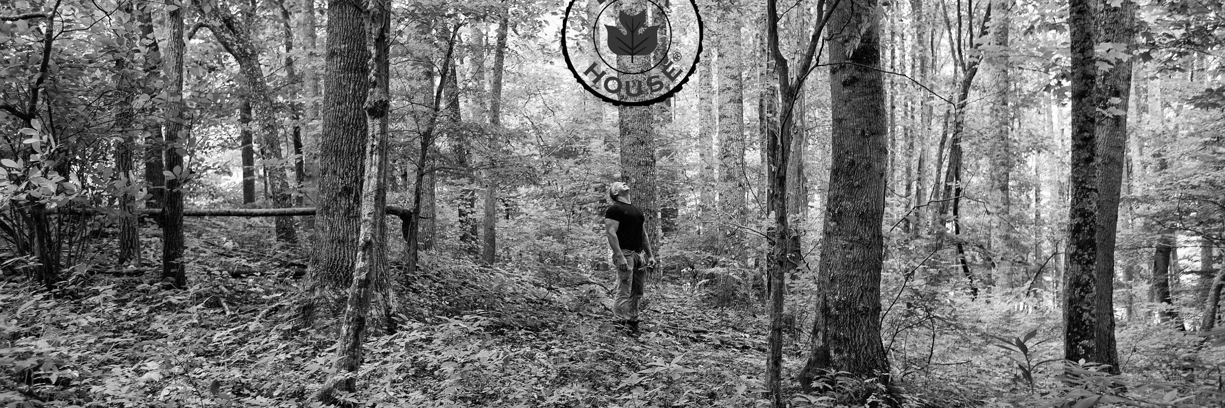 Bark_House's profile banner image