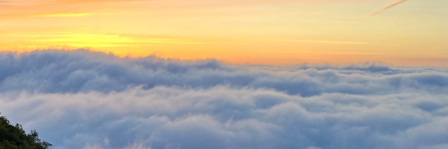 DonMiketheWise's profile banner image