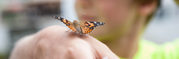 ProvencherPhoto Profile Banner