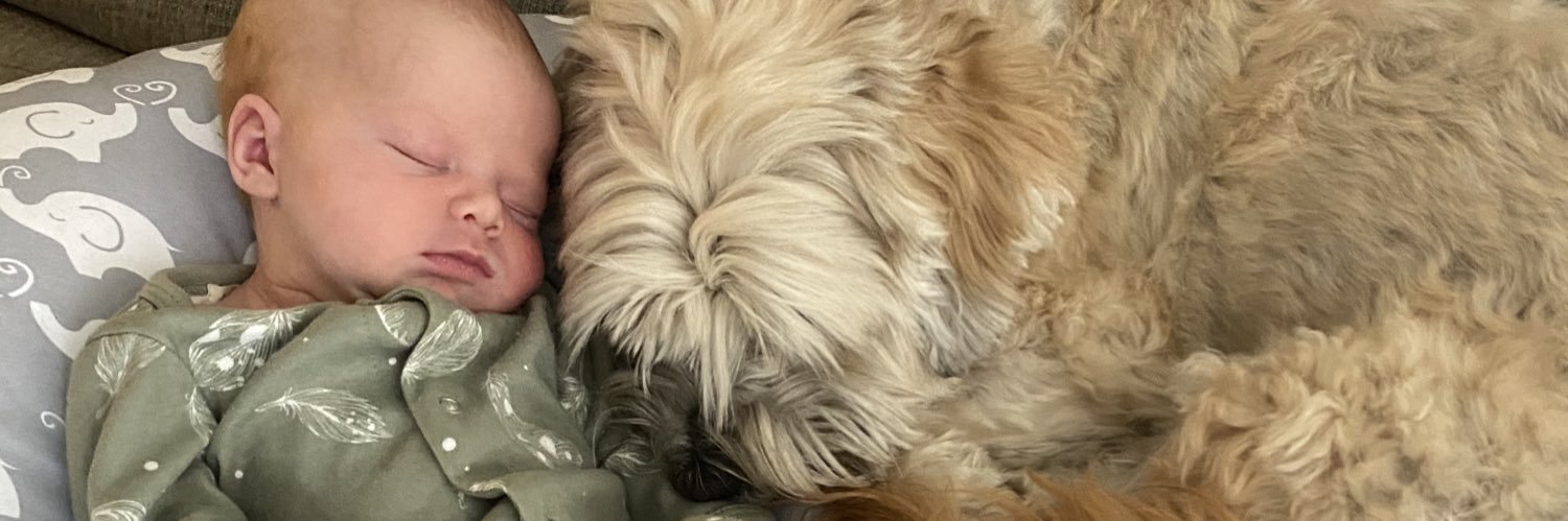 Jeffrey Wisenbaugh banner