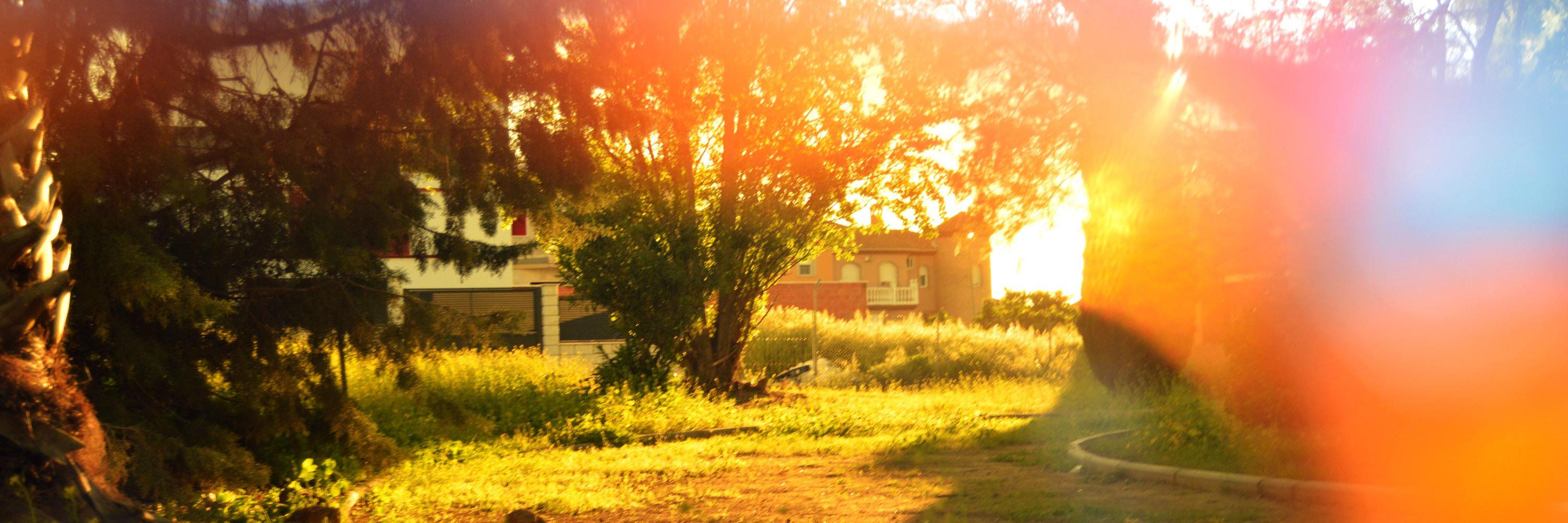 auro_qc's profile banner image