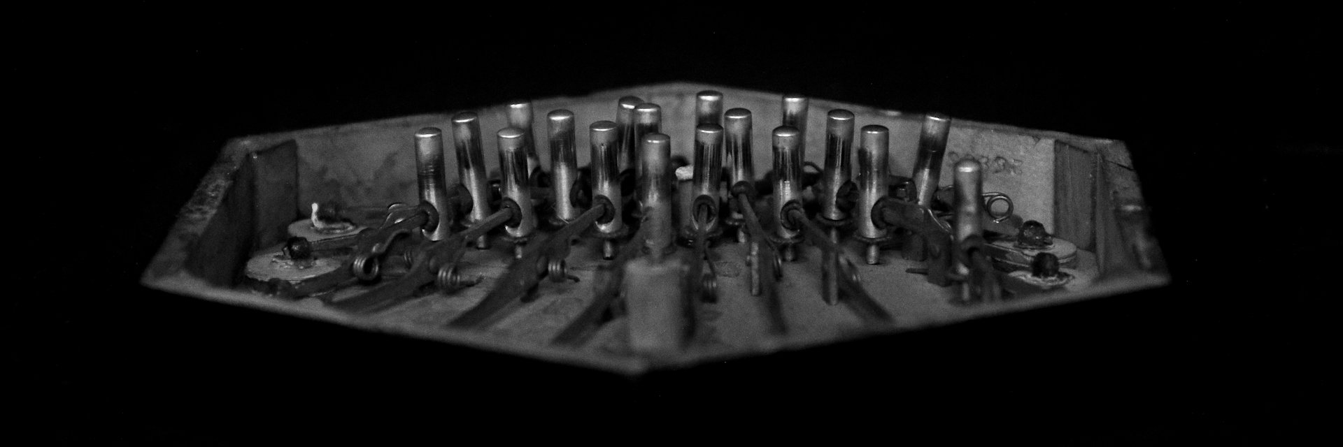 Cormac Begley banner