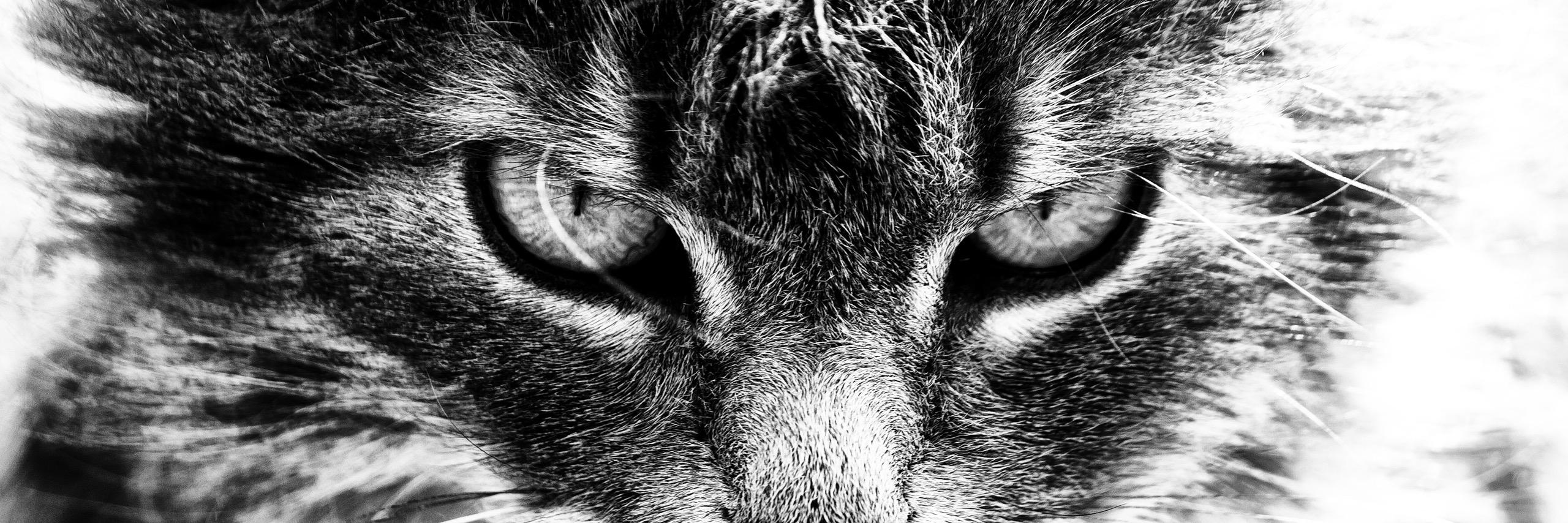 Seba_Graves's profile banner image