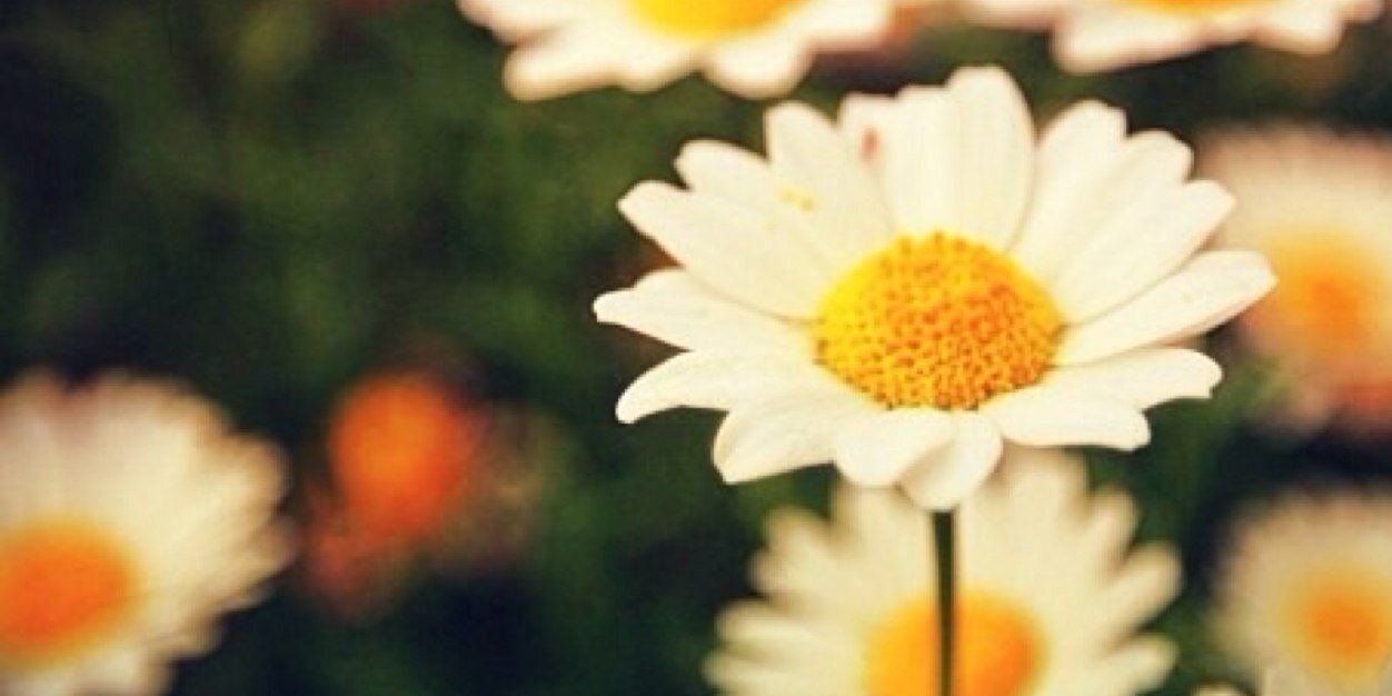 KeeeleyC's profile banner image