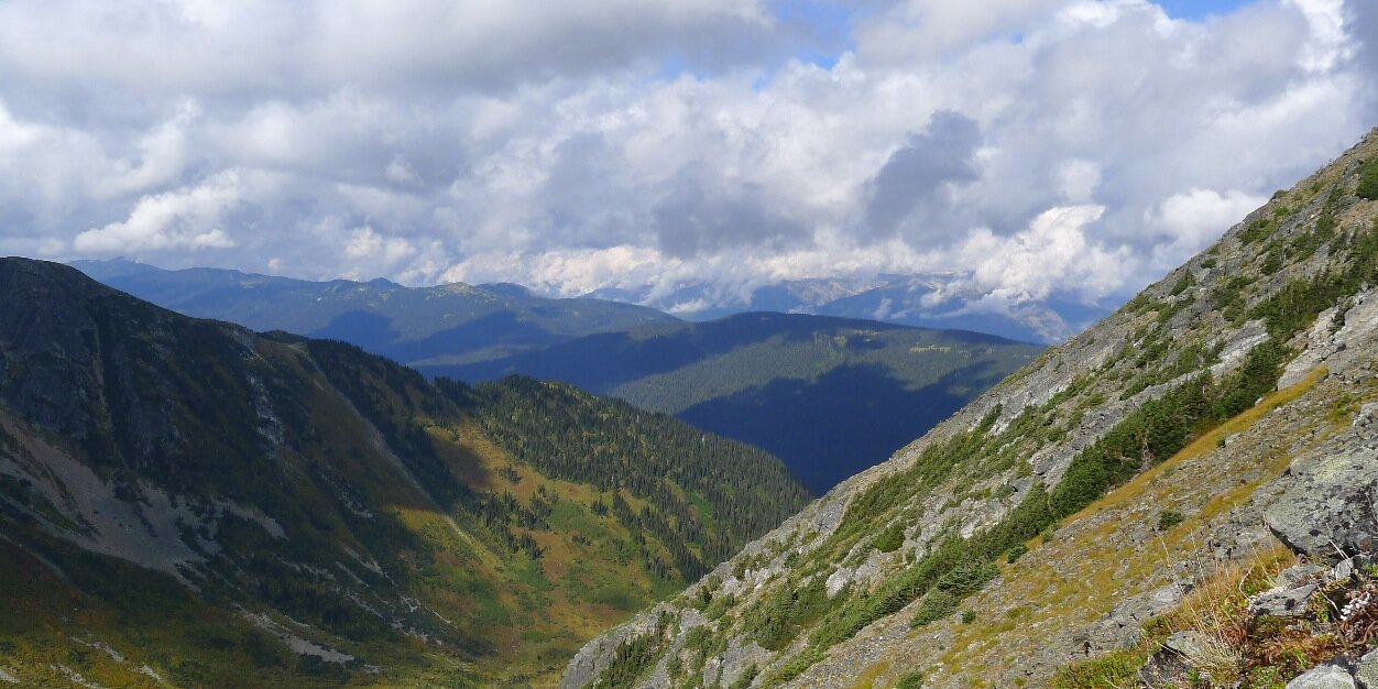 Ryan Callaghan banner