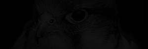 Cyber_511's profile banner image