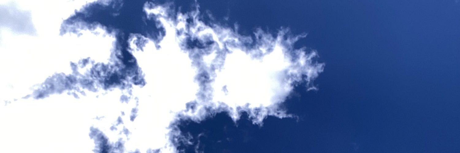 Daniel Vukovic banner