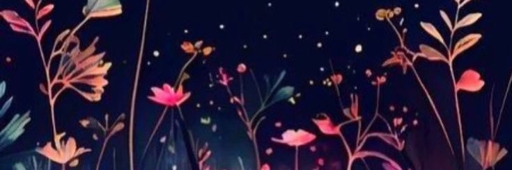 valentinauc12's profile banner image
