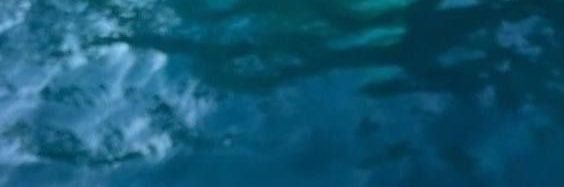 L N O 🕊️ banner