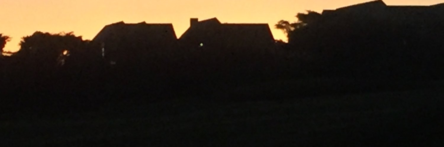 Selvan  Ramsamy banner