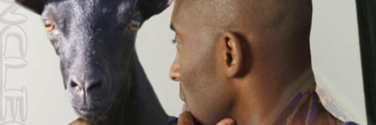 RyanJamesBass's profile banner image