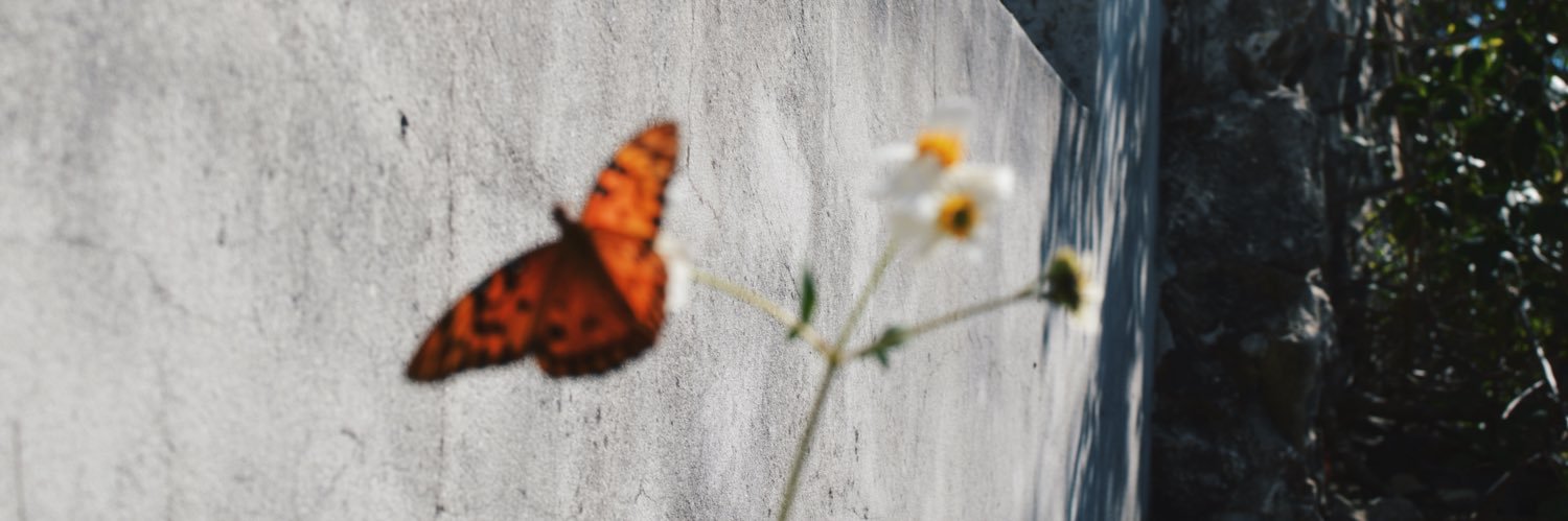 stephilabiada's profile banner image