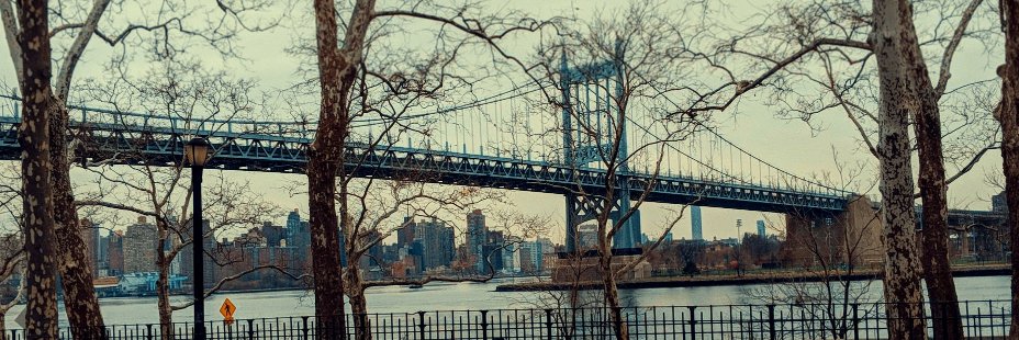 Claire Lovell banner