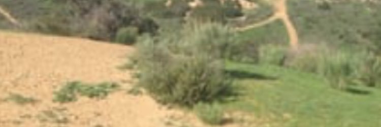 HOLLYGROVEACE's profile banner image
