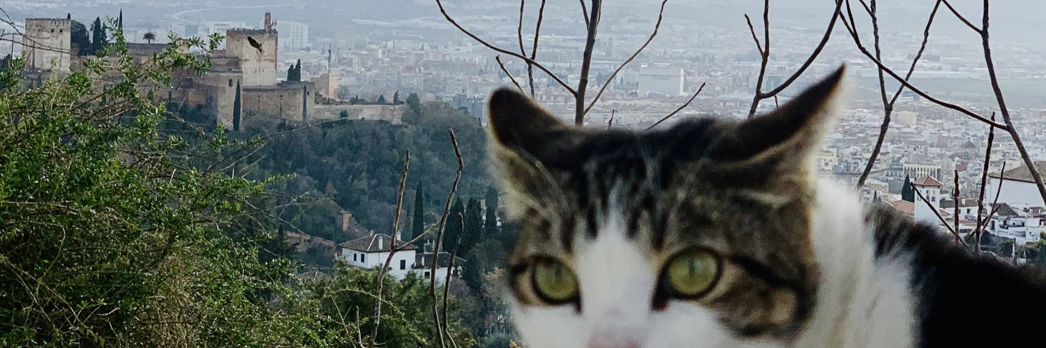 Jairo banner