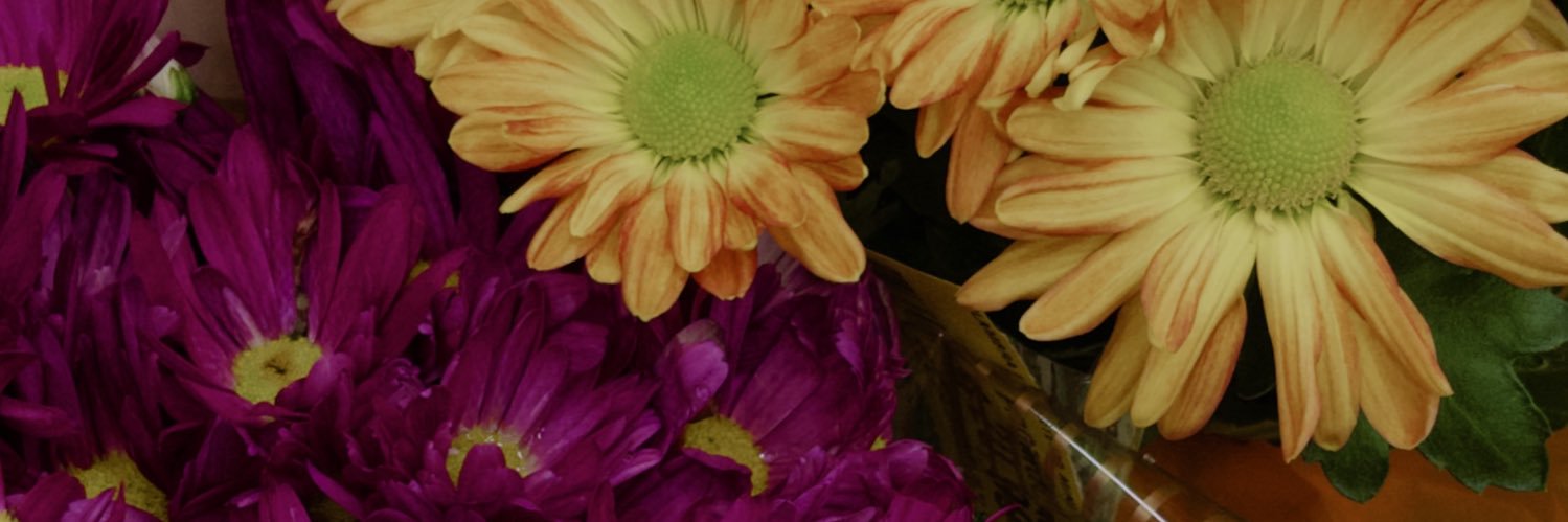 andrezzaxavier_'s profile banner image