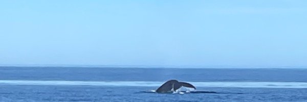 hikazoh Profile Banner