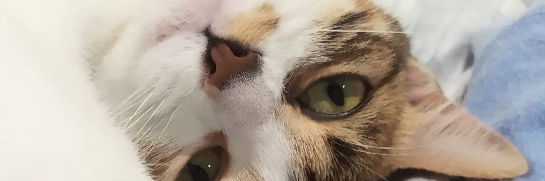 MartaaMaarcos's profile banner image