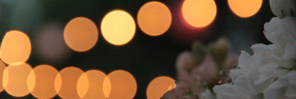 MrsBullock4Real's profile banner image