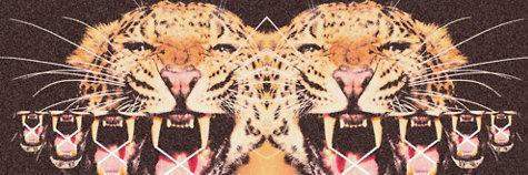 Kevin_Labor's profile banner image