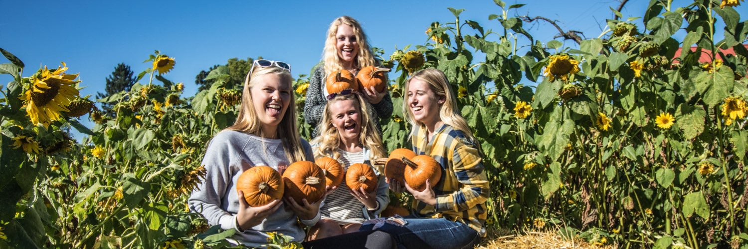 KaleyLeuffgen's profile banner image