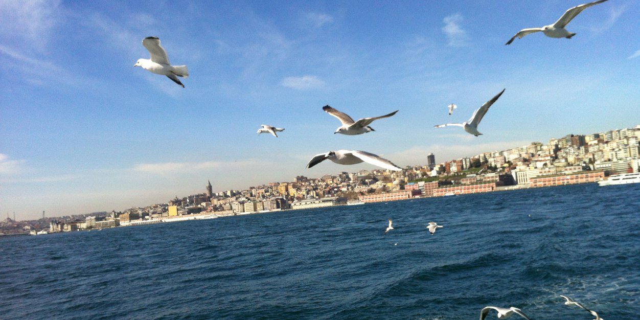 Talalalthaqafi's profile banner image