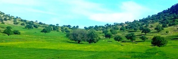 _mah_di Profile Banner