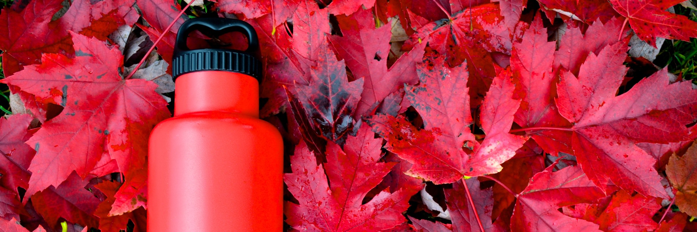 HydrationBottle's profile banner image