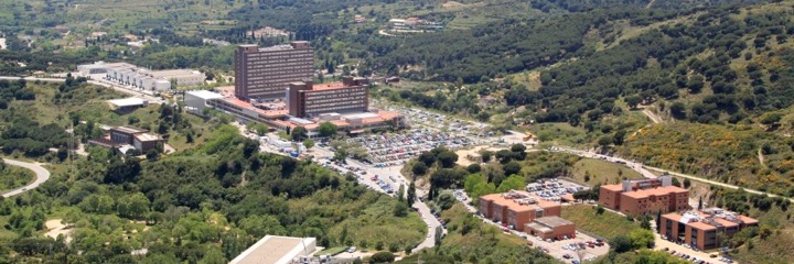 Sebastià Remollo banner