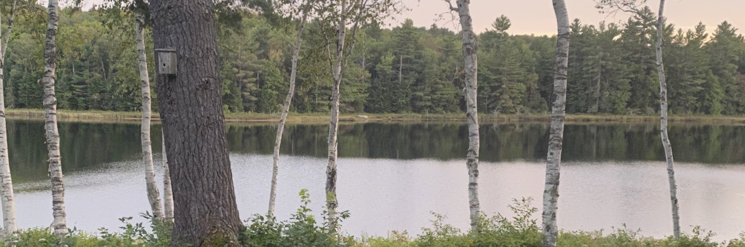 pkpickle's profile banner image