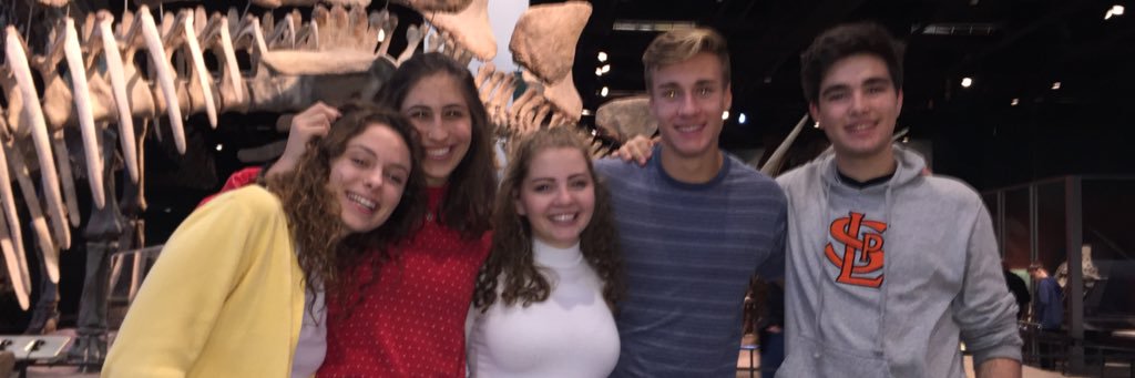 NFTYNO's profile banner image
